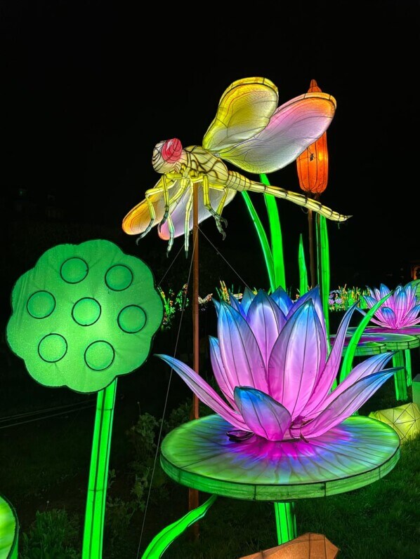 Mini-Mondes en voie d'Illumination, Jardin des Plantes, Paris 5e (75)