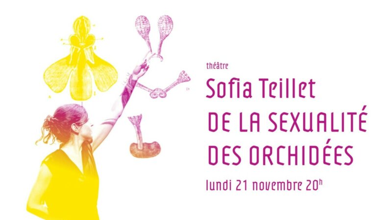 Sofia Teillet, De la sexualité des orchidées, Espace 1789, novembre 2022