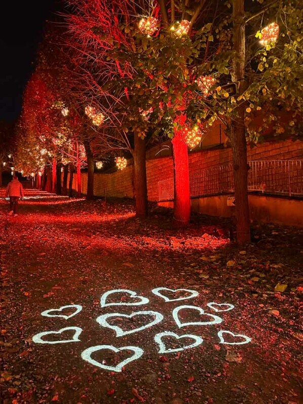 Lumières en Seine, parc de Saint-Cloud, novembre 2022, photo Alain Delavie