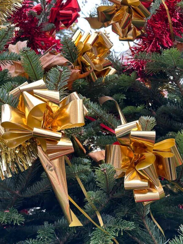 Lire la suite à propos de l’article Joyeux Noël 2022 !