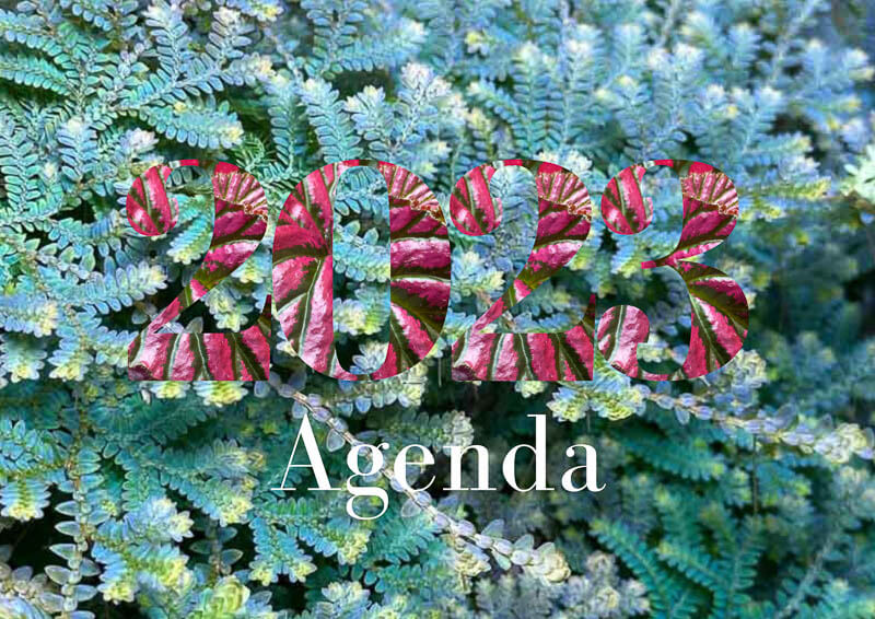 Agenda 2023, Selaginella uncinate, Begonia brevirimosa