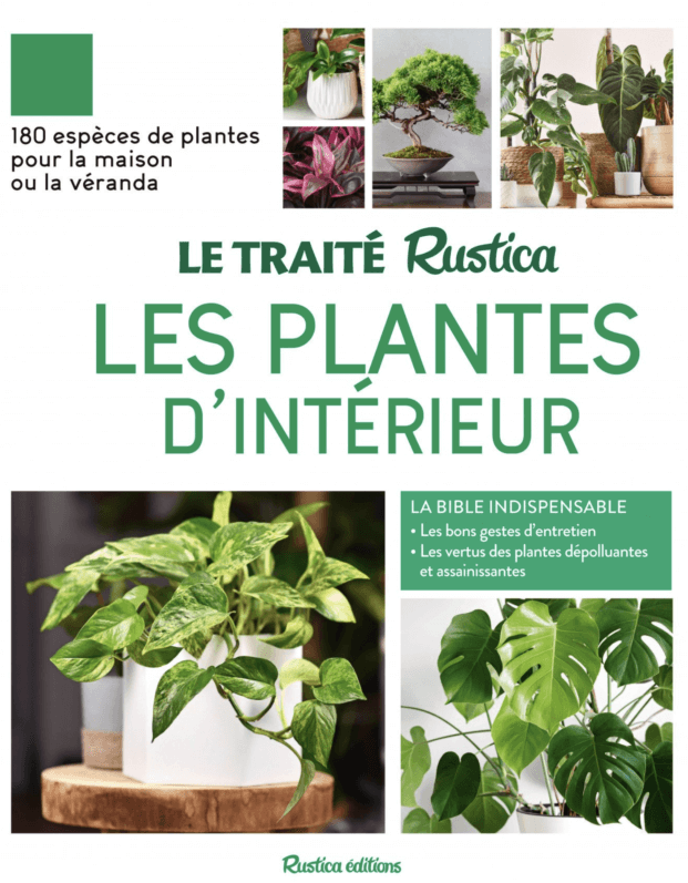 Lire la suite à propos de l’article Le Traité Rustica des plantes d’intérieur (nouvelle édition)