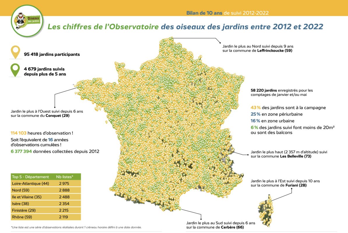 Lire la suite à propos de l’article Comptage des oiseaux des jardins les 28 et 29 janvier 2023