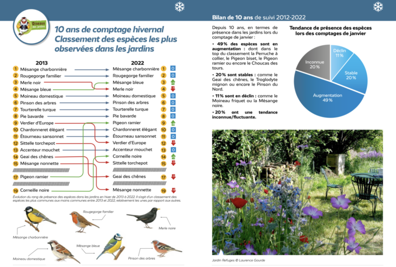Observatoire des oiseaux des jardins, comptage hivernal, bilan suivi 2012-2022