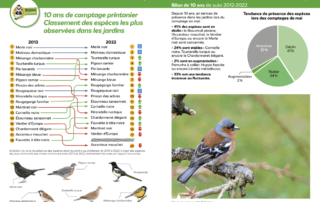 Observatoire des oiseaux des jardins, comptage printanier, bilan suivi 2012-2022