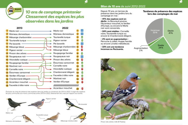 Observatoire des oiseaux des jardins, comptage printanier, bilan suivi 2012-2022