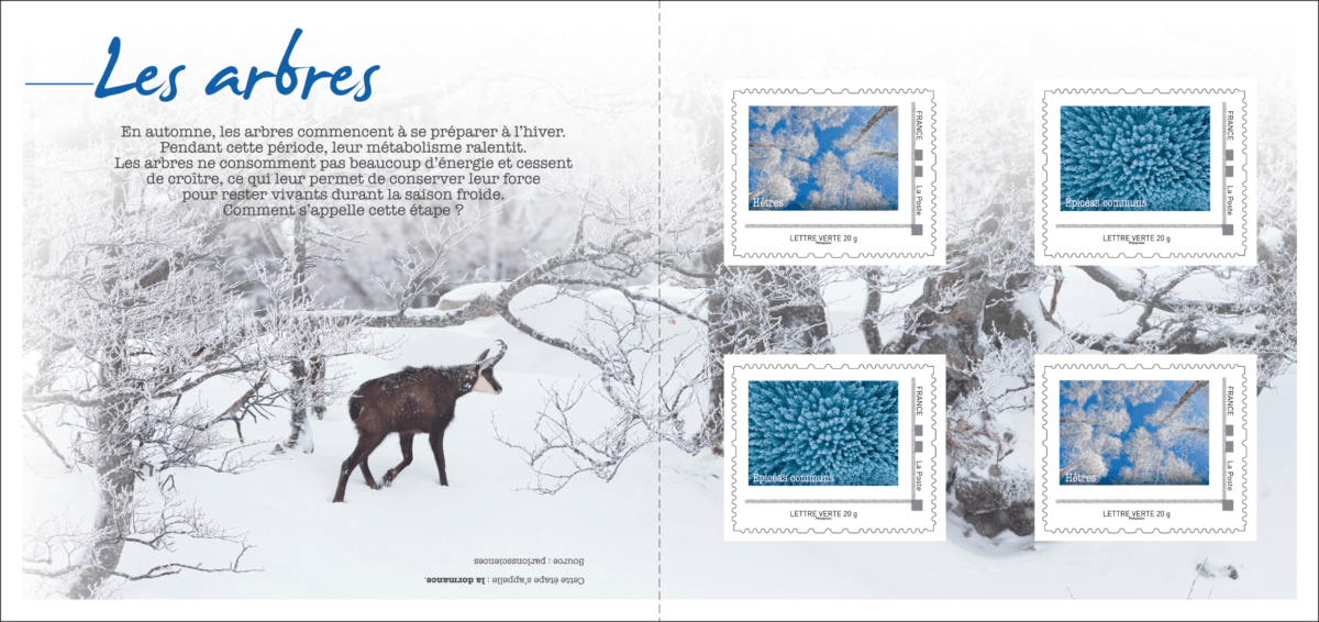 Lire la suite à propos de l’article Nouveaux timbres : arbres sous la neige