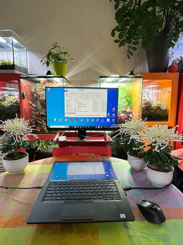 Bureau, télétravail, plantes d'intérieur et terrariums, Paris 19e (75)