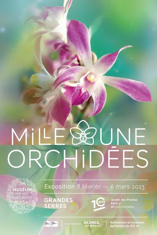 Mille & une orchidées, les 10 ans de l'exposition florale du 8 février au 6 mars 2023