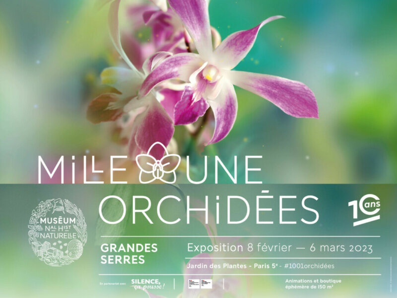 Mille & une orchidées, les 10 ans de l'exposition florale du 8 février au 6 mars 2023
