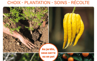 Cultiver des agrumes bio. Choix – Plantation – Soins – Récolte. Jean-Noël Falcou, Éditions Terre Vivante, février 2023.