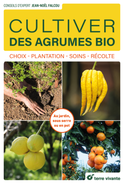 Cultiver des agrumes bio. Choix – Plantation – Soins – Récolte. Jean-Noël Falcou, Éditions Terre Vivante, février 2023.