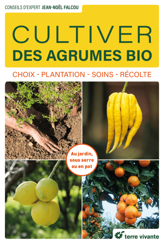 Lire la suite à propos de l’article Cultiver des agrumes bio