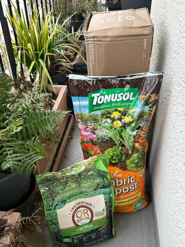 Lire la suite à propos de l’article Le début des grandes manoeuvres sur mon balcon parisien