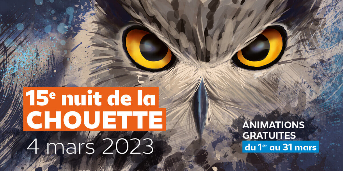 Lire la suite à propos de l’article 15ème Nuit de la Chouette