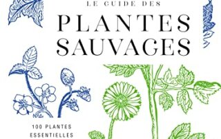 Le Guide des plantes sauvages. Carole Minker, Tana éditions, mars 2023.