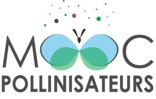 MOOC pollinisateurs : Formation courte en ligne, gratuite et ouverte à tous à partir du 20 mars 2023