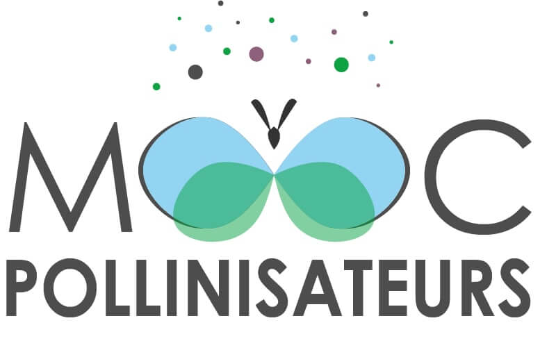 Lire la suite à propos de l’article MOOC pollinisateurs : Formation courte en ligne, gratuite et ouverte à tous à partir du 20 mars 2023