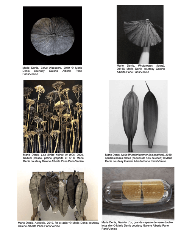 Lire la suite à propos de l’article Exposition “Renée ou la nature des choses. Œuvres de Marie Denis”, du 25 mars 2023 au 24 mars 2024, à la Maison de Chateaubriand