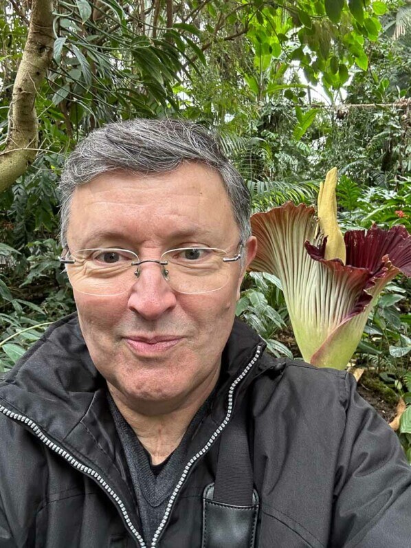 Floraison de l'arum titan dans la grande serre au printemps dans le Jardin des plantes, Paris 5e (75)