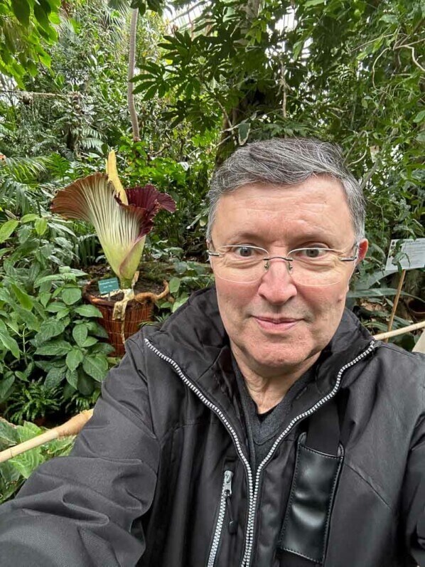 Floraison de l'arum titan dans la grande serre au printemps dans le Jardin des plantes, Paris 5e (75)