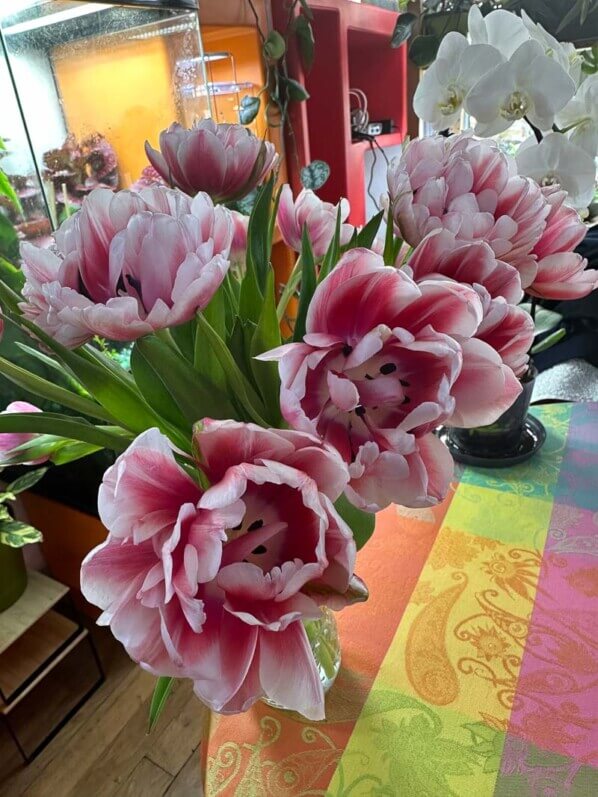 Bouquet de tulipes doubles, fleurs coupées, Paris 19e (75)