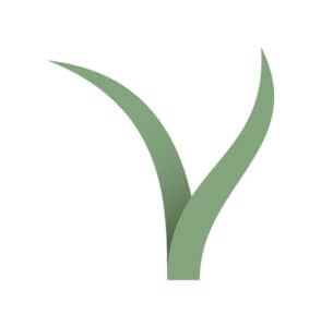 Lire la suite à propos de l’article Ce printemps la Tégéval devient la Végétale, aménagement écologique ambitieux !