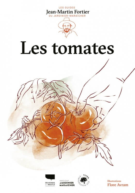 Lire la suite à propos de l’article Les tomates