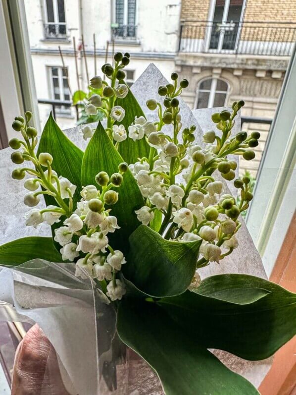 Bouquet de muguet, Paris 19e (75)