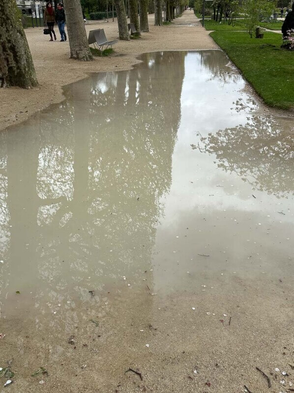 Grande flaque d'eau au printemps dans le Jardin des plantes, Paris 5e (75)