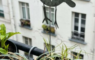 Girouette piquée dans une potée sur mon balcon parisien, Paris 19e (75)