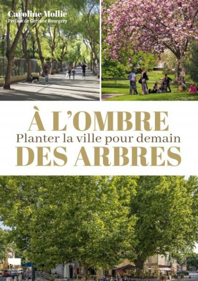 À l'ombre des arbres. Planter la ville pour demain. Caroline Mollie, Éditions Delachaux et Niestlé, mai 2023.