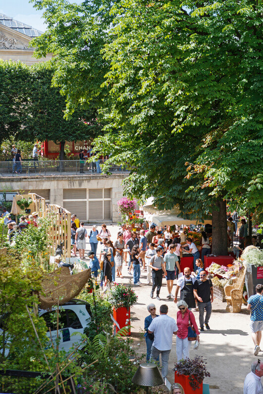 Jardins, Jardin aux Tuileries, ambiance, photo Eric Derhouville