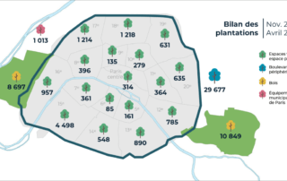 Bilan des plantations d'arbres dans les arrondissement de Paris, 2020-2023
