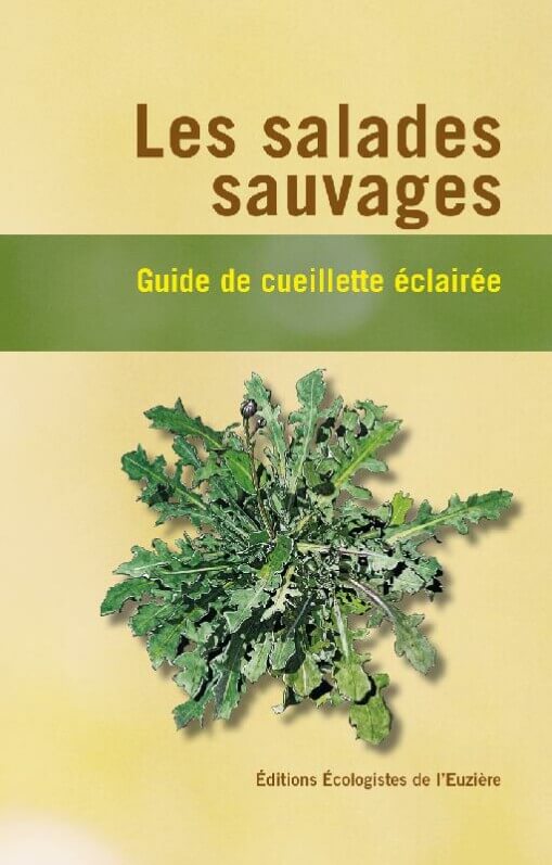 Lire la suite à propos de l’article Les salades sauvages (5ème édition)