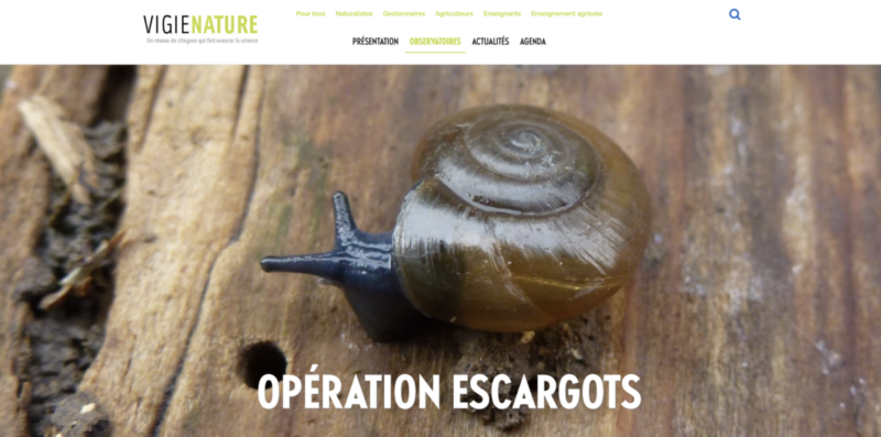 "Opération Escargots", programme de sciences participatives