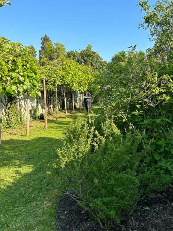 Jardin du Parfumeur, Domaine de Trianon, Versailles (78)