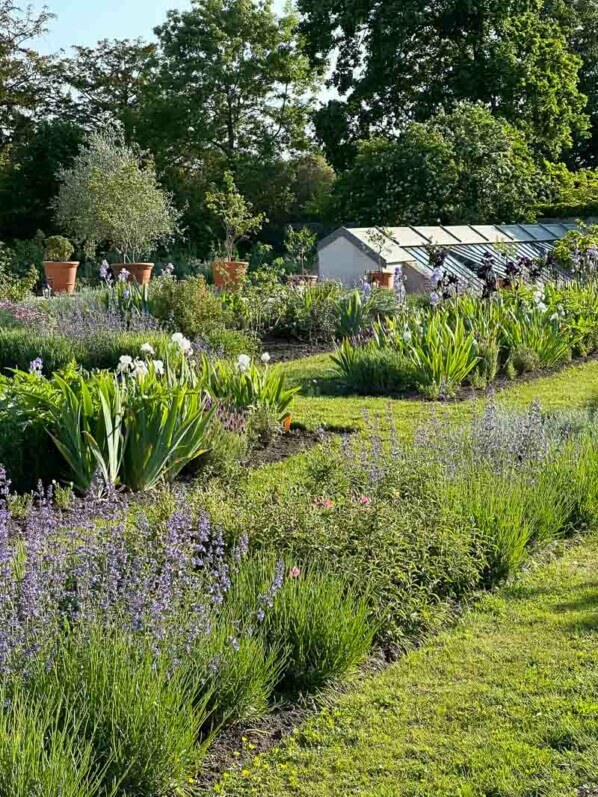 Jardin du Parfumeur, Domaine de Trianon, Versailles (78)