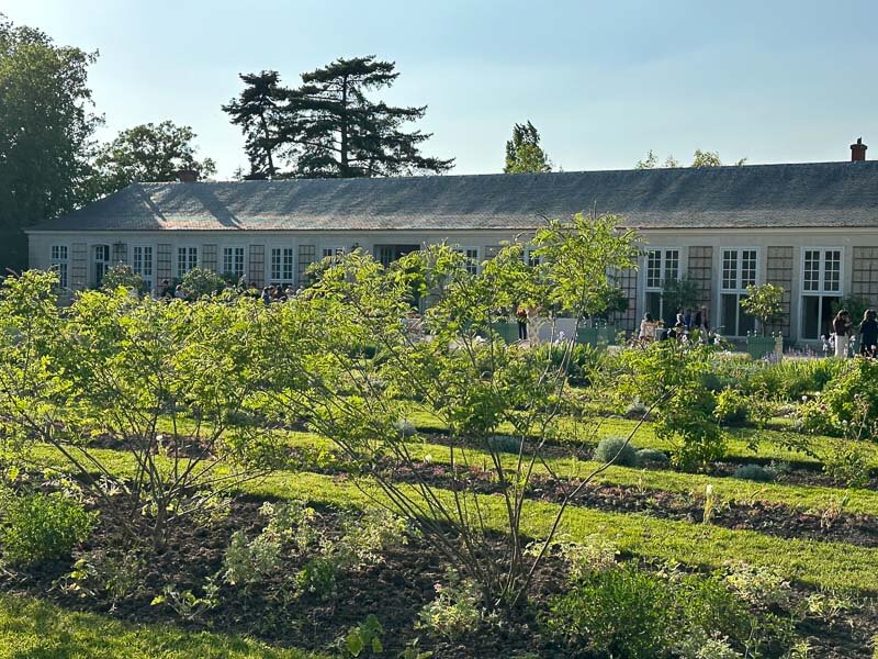 Jardin du Parfumeur, Domaine de Trianon, Versailles (78)