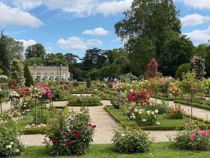 Au printemps, roseraie du parc de Bagatelle, Paris 16e (75)