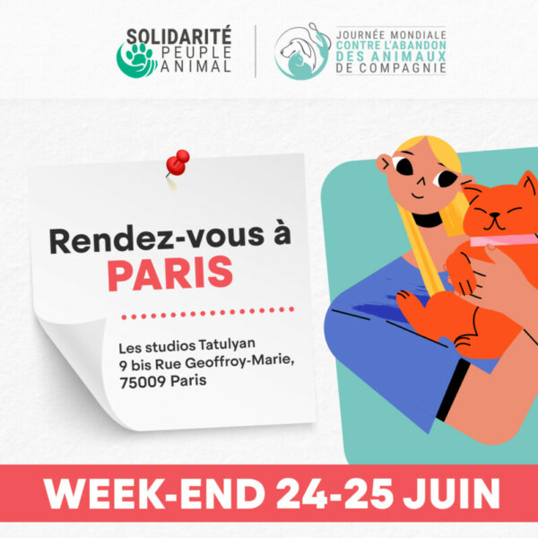 Journée mondiale contre l'abandon des animaux de compagnie_rendez-vous_Paris_24 et 25 juin 2023