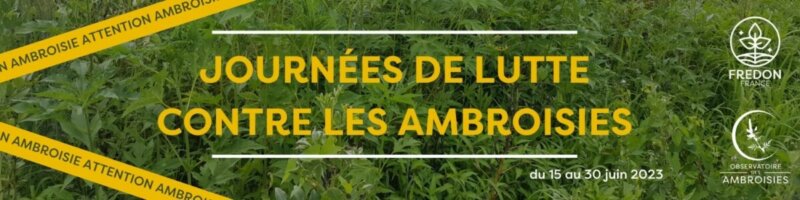 Du 15 au 30 juin 2023, journées de luttes contre les ambroisies