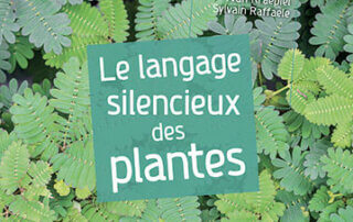 Le langage silencieux des plantes. Yvan Kraepiel et Sylvain Raffaele, éditions Quæ, juin 2023.