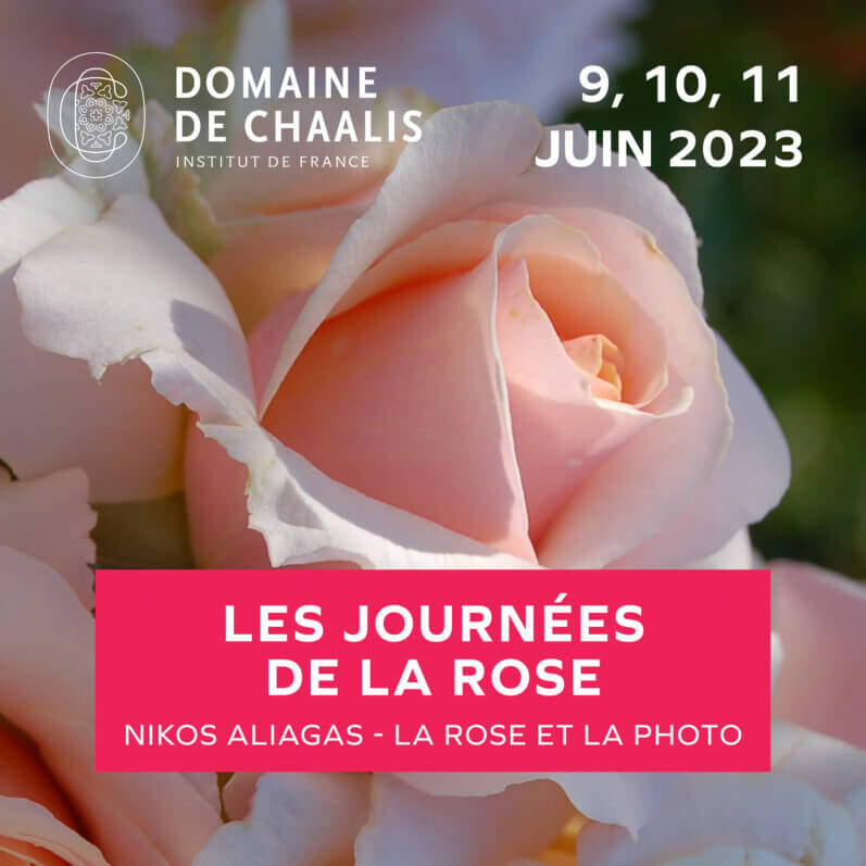 Lire la suite à propos de l’article Les Journées de la Rose les 9, 10 et 11 juin 2023