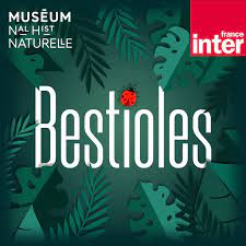 Lire la suite à propos de l’article Le podcast “Bestioles” a célébré son 100e épisode le 21 juin 2023