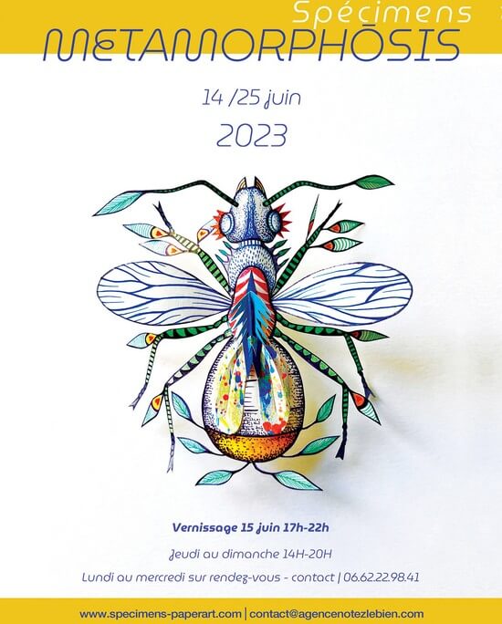 Exposition de Michaël Cailloux et Julie Yülle, "Les Spécimens", du 14 au 25 juin 2023 à la Galerie 54 Dunkerque
