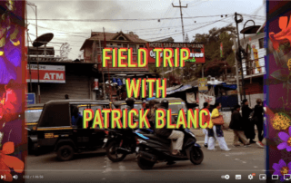 FIELD TRIP WITH PATRICK BLANC IN INDIA - WESTERN GHATS - PART 2, vidéo