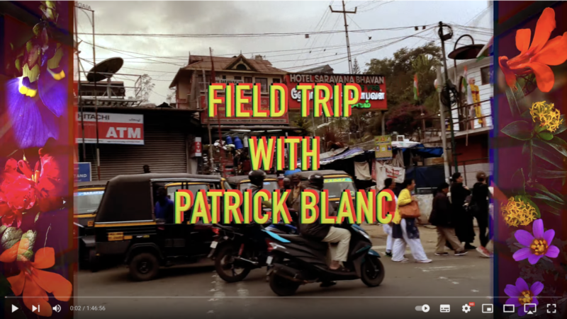 FIELD TRIP WITH PATRICK BLANC IN INDIA - WESTERN GHATS - PART 2, vidéo