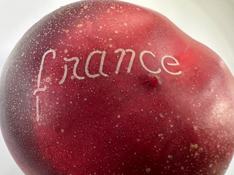 Nectarine gravée France, fruit, Paris 19e (75)