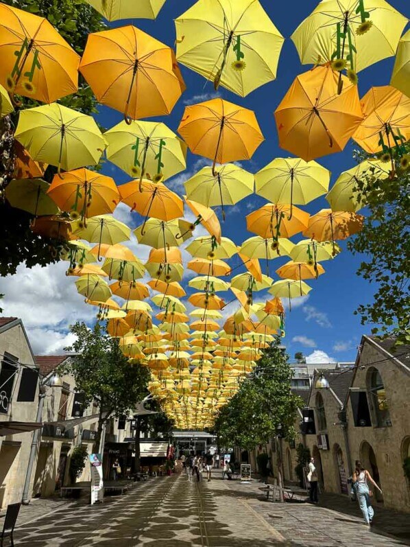 Parapluies et tournesols, installation de Patricia Cunha, Bercy Village, Paris 12e (75)